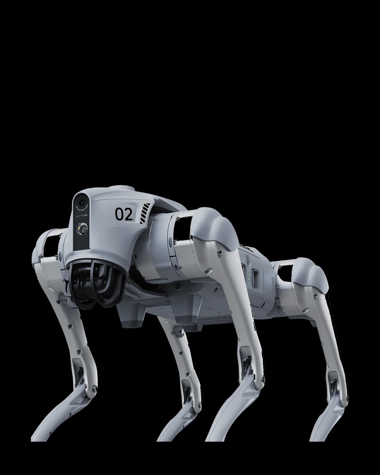 Unitree Go2 quadruped robot, three-quarter view